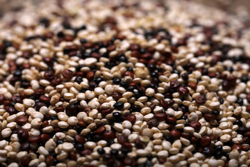 Quinoa drei Sorten Mischung