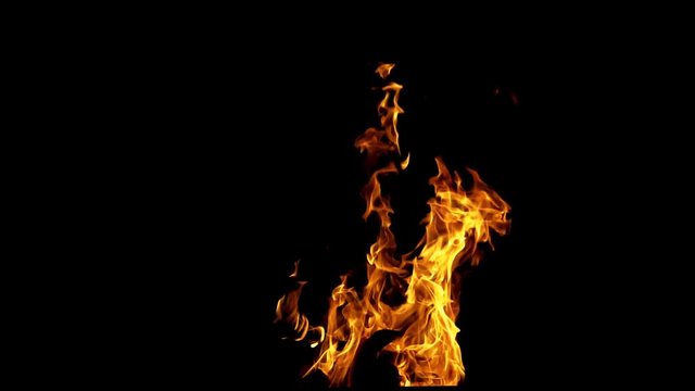 Fire flame on the black background. Fire in darkness. Slow motion