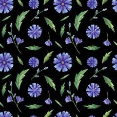 Seamless pattern with watercolor chicory flowers and leaves. Meadow flowers.