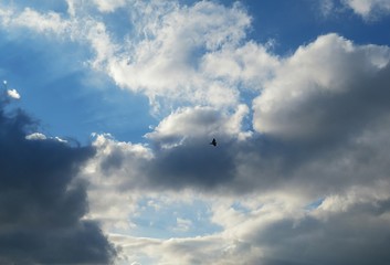 Beautiful cloudscape in blue sky, natural clouds background