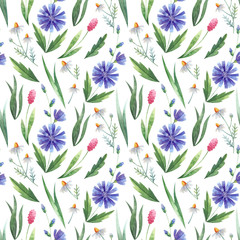 Seamless pattern with watercolor chicory flowers, buttercup, chamomille, wild cereal, green leaves. Meadow plants texture.