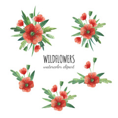 Watercolor floral compositions with red poppy. Handdrawn wildflowers. Isolated clipart. Design for invitations and postcards.