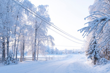 Country road and snow-covered trees on the side of the road. Finnish village in Lapland.