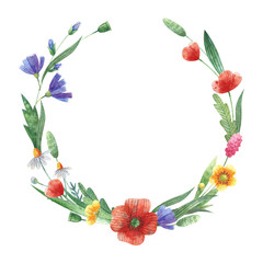 Watercolor floral wreath. Chicory, poppy, buttercup, chamomile flowers and leaves. Wild flowers. Isolated clipart for postcards, greeting cards, invitations.