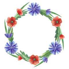 Watercolor floral wreath. Chicory flowers and leaves, poppy flowers. Wild flowers. Isolated clipart for postcards, greeting cards, invitations.