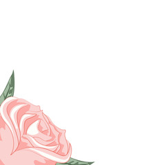 Obraz premium Beautiful rose frame for dedication