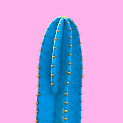 Fashion Neon tropical Blue cactus. Minimal Trendy stillife on Pink Design background. Surrealism....