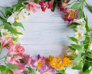 Frame for the text of congratulations with natural flowers of Alstroemeria on a white background. Design greeting card with natural colors. Background for text with alstromeria. Flat lay, top view.