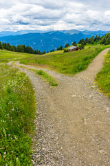 Fototapeta na wymiar Alpe di Siusi, Seiser Alm with Sassolungo Langkofel Dolomite, a trekking walking winding path splits in a lush green field