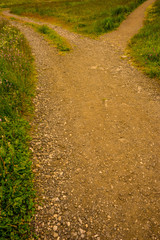 Alpe di Siusi, Seiser Alm with Sassolungo Langkofel Dolomite, a trekking walking winding path splits in a lush green field