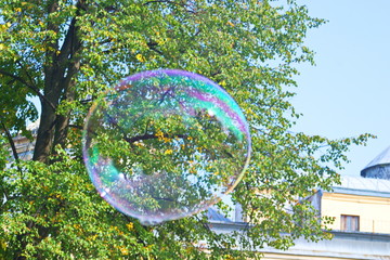 Image of a large soap bubble on a background of green trees