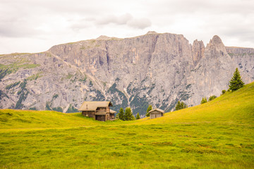 Alpe di Siusi, Seiser Alm with Sassolungo Langkofel Dolomite, a large green field with a mountain in the background