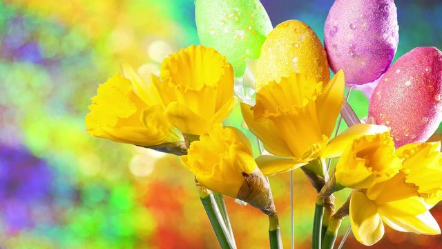 HD Easter card with daffodils and Egs. Space for text on left. Multicolour flower background.