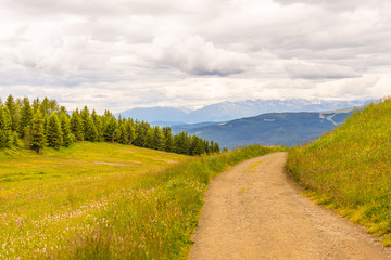 Alpe di Siusi, Seiser Alm with Sassolungo Langkofel Dolomite, a trekking walking winding path in a lush green field