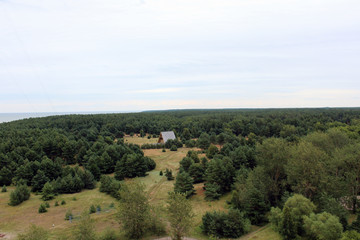 Small house in the forest