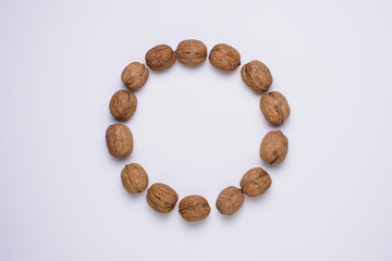 creative composition walnut circle on white background