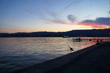 Grausittich in z&uuml;rich in der schweiz