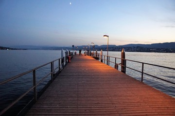 Fototapeta premium Gray Eel w Zurychu w Szwajcarii