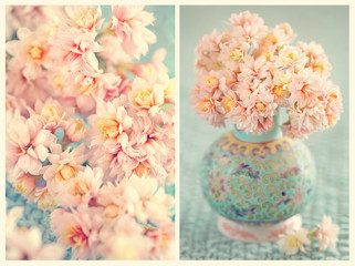 Lovely bunch of flowers. Pink Kalanchoe flowers on the table.Collage of photos.