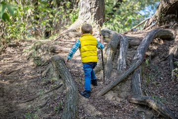 Young boy with a stick alone climbs up the mountain with a summer forest on a sunny day