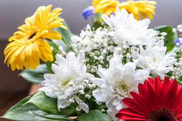 A bouquet of bright flowers on a colored background