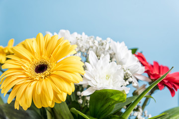 A bouquet of bright flowers on a colored background