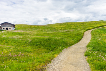 Fototapeta na wymiar Alpe di Siusi, Seiser Alm with Sassolungo Langkofel Dolomite, a trekking walking winding path in a lush green field