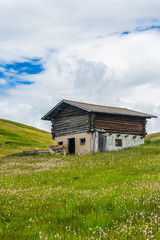 Alpe di Siusi, Seiser Alm with Sassolungo Langkofel Dolomite, an old barn in a field