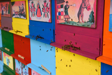 Close up of bees entering hives of colorful hand painted apiary boxes of traditional scenes at...