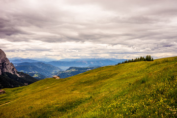 Alpe di Siusi, Seiser Alm with Sassolungo Langkofel Dolomite, a view of a grassy hill