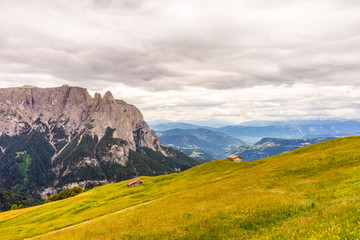 Alpe di Siusi, Seiser Alm with Sassolungo Langkofel Dolomite, a large mountain in the background