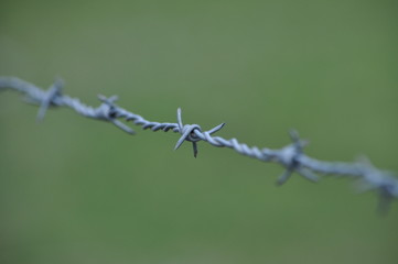 barbed wire on blue background
