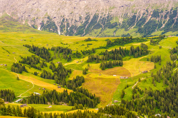 Alpe di Siusi, Seiser Alm with Sassolungo Langkofel Dolomite, a close up of a lush green field in a valley canyon