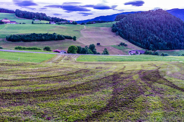 Alpe di Siusi, Seiser Alm with Sassolungo Langkofel Dolomite, a field with a mountain in the background