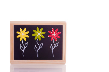 Three flowers on blackboard - spring on a white background