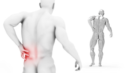 Male torso, pain in the back isolated on white background. 3d render illustration. Medical care concept