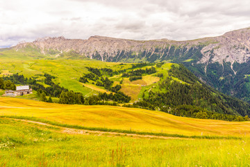 Alpe di Siusi, Seiser Alm with Sassolungo Langkofel Dolomite, a large green field with a mountain in the background