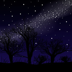 Blue dark night sky with many stars above field of trees. Milky way cosmos background.