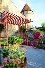 pink bike...