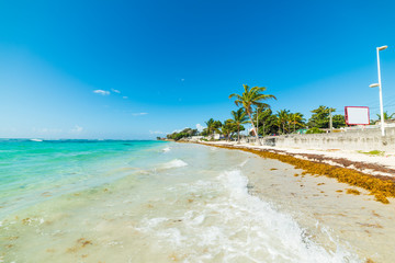 Turquoise water in Raisins Clairs beach in Guadeloupe