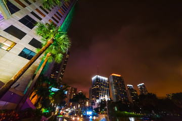 Palm trees and skyscrapers in downtown Miami at night