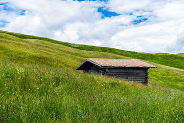 Italy, Alpe di Siusi, Seiser Alm with Sassolungo Langkofel Dolomite, an old barn in a field