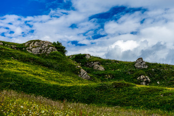 Alpe di Siusi, Seiser Alm with Sassolungo Langkofel Dolomite, a close up of a lush green field