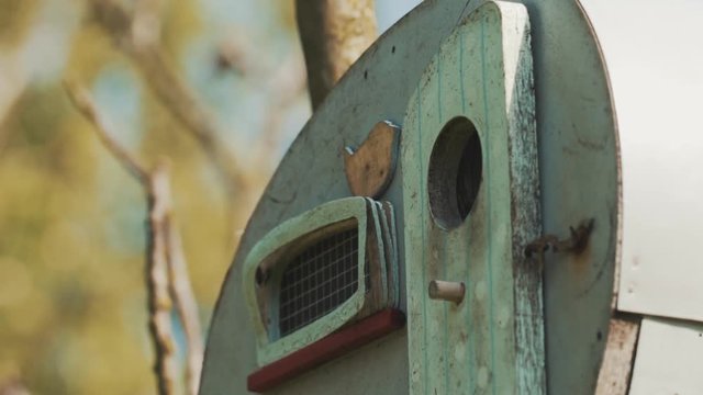 Small tit bird fly out ftom a caravan nest in slow montion - cloce up.