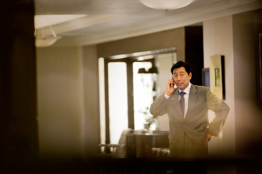 Mid-adult businessman talking on a cellphone.