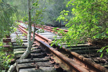 Stoney Creek Rail Bridge