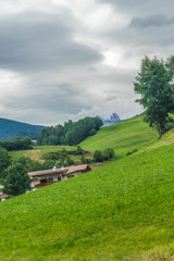 Alpe di Siusi, Seiser Alm with Sassolungo Langkofel Dolomite, a view of a lush green field