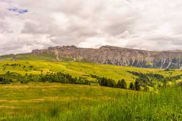 Fototapeta premium Alpe di Siusi, Seiser Alm with Sassolungo Langkofel Dolomite, a large green field with a mountain in the background