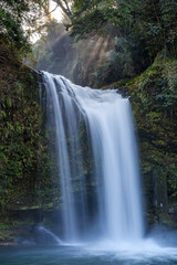 Obraz premium 慈恩の滝