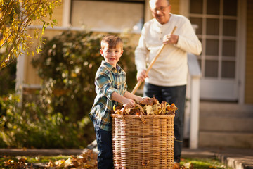 Boy helping his grandfather gather leaves in the backyard.
